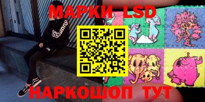 шишки Изобильный