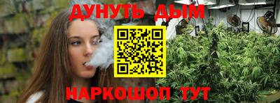 шишки Изобильный