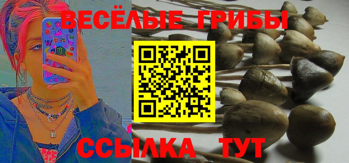 Лабытнанги  Псилоцибиновые грибы мухоморы  Вход с VPN 